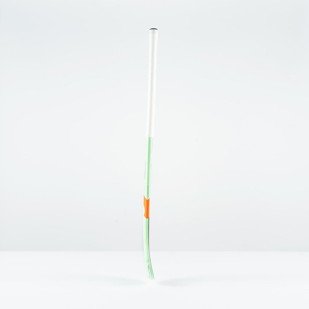 HAEG26Composite Sticks JB5 Mint, Profile